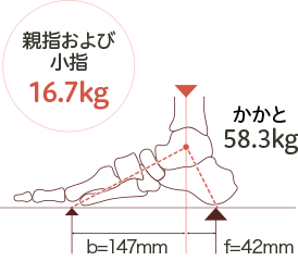 裸足の時に親指、小指、踵にかかる体重を計算した図